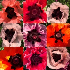 82-IMG51162_srcset-large