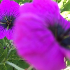 85-IMG51902_srcset-large