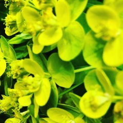 88-IMG50390_srcset-large