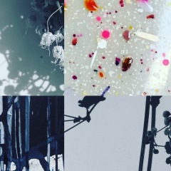 94-IMG81340_srcset-large